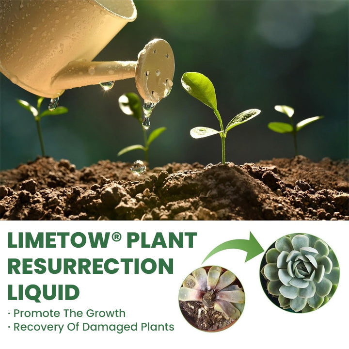 LIMETOW® Plant Resurrection Liquid